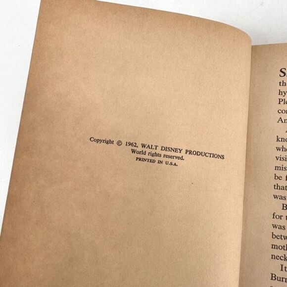 Vintage Walt Disney's Annette Mystery Series Lot of 2 Books Fiction Hardcover - Picture 16 of 16